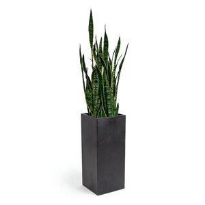 MetroLine Poly Planter