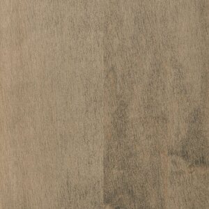 PCL Sample - Hard Maple - Bel Air