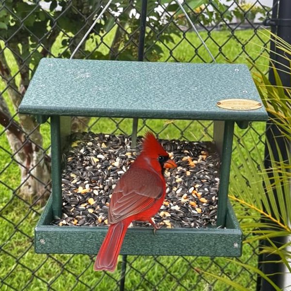 Large Capacity Amish Poly Bird Feeder - Heavy Duty Hanging Design