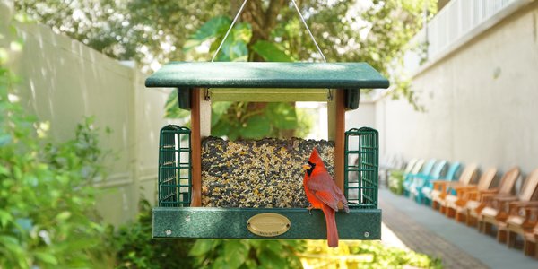 Amish Poly Deluxe Hanging or Post Mount Hopper Bird Feeder with Dual Suet Cages