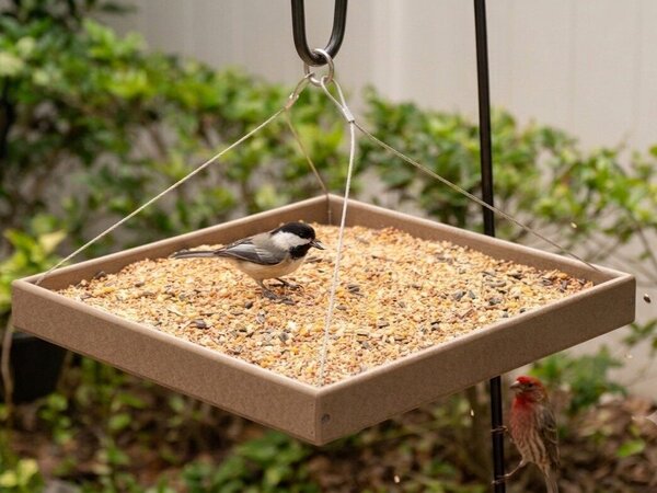 Poly Hanging Tray Platform Bird Feeder