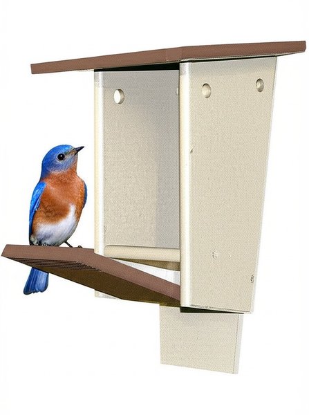Amish Poly Bluebird House
