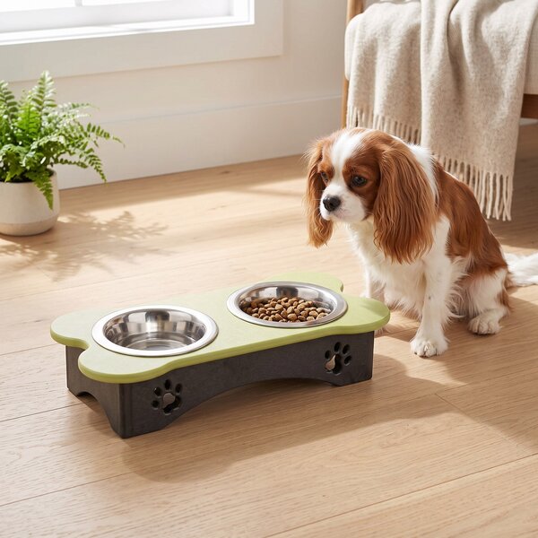Poly Elevated Double Bowl Small Dog Food Diner, 2 Cups