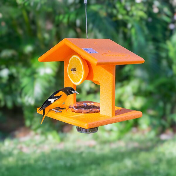 Poly Lumber Hanging Single Oriole Bird Feeder - DutchCrafters Exclusive