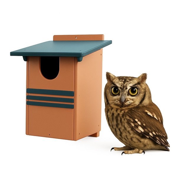 Amish Screech Owl House - Nesting Box - Weather Resistant Poly