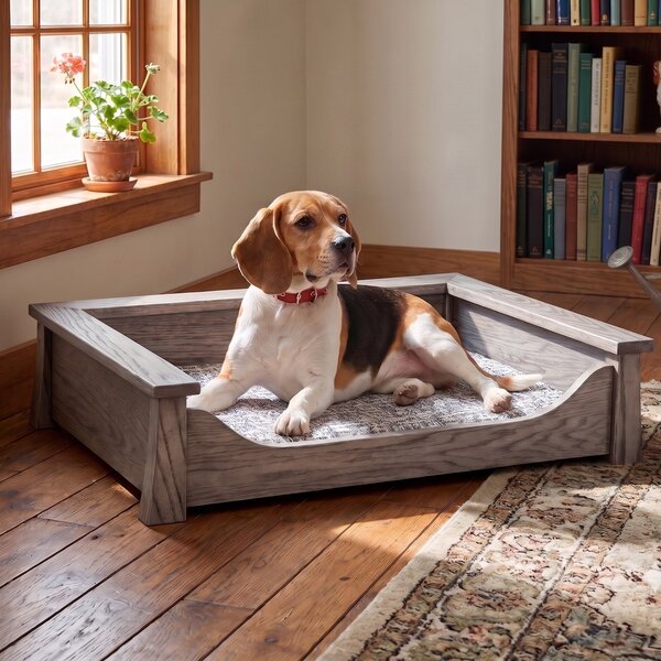 Springville Pet Bed Lounger