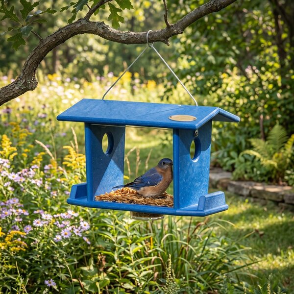 Poly Hanging Bluebird Feeder for Mealworms