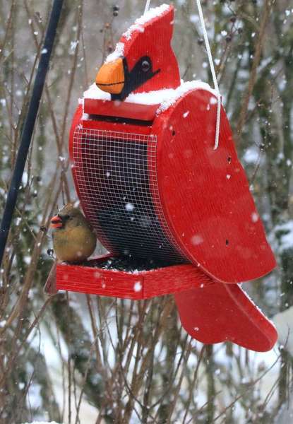Handcrafted Cardinal Shaped Bird Feeder