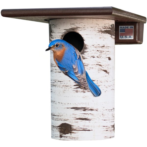How to Build a Gilbertson Bluebird House: Easy Steps for Success