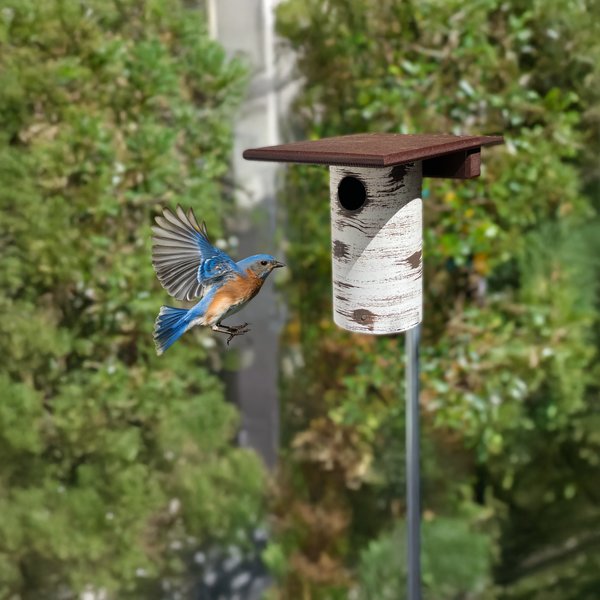 Amish Gilbertson Pole Mount Bluebird House In-Stock