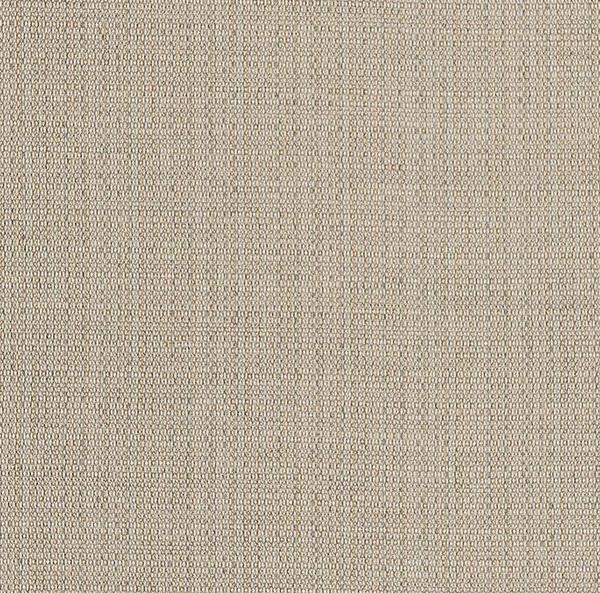 Heartland Upholstery Sample - Crypton - C8-89 - Note