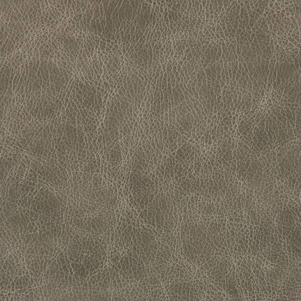 Heartland Upholstery Sample - Genuine Leathers - Fossil