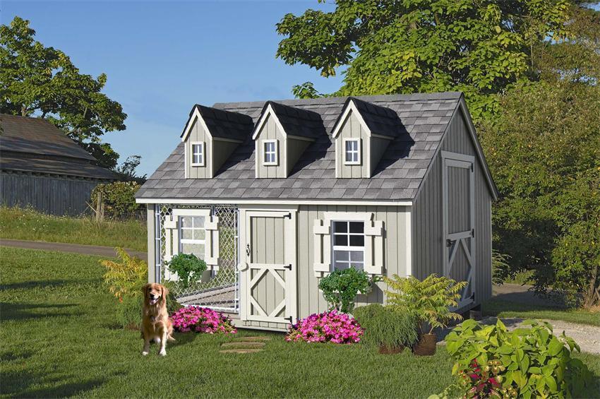 Amish-8-x-10-Maisie-Cozy-Dog-