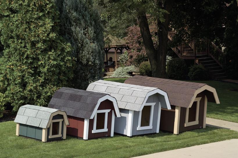 amish dog house