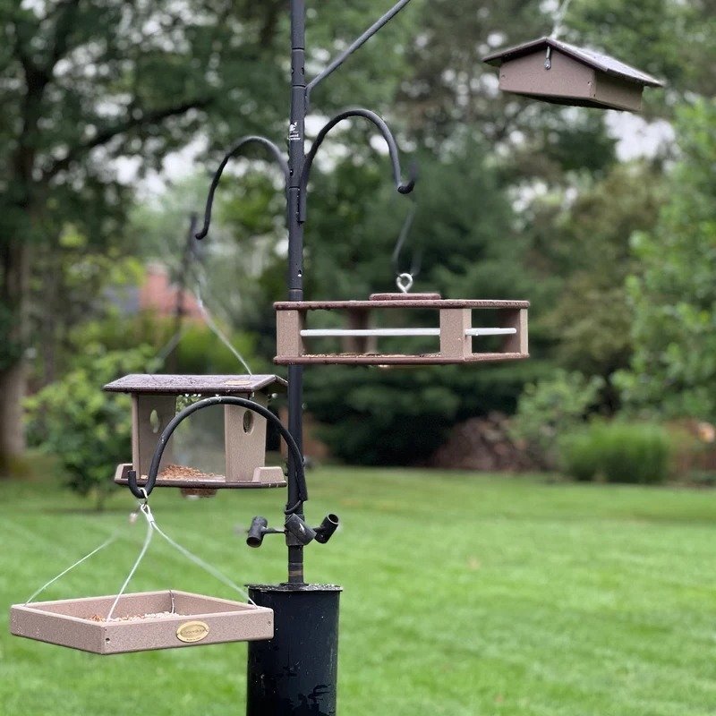 Squirrel-proof suet feeder for woodpeckers Squirrel-proof suet feeder for woodpeckers