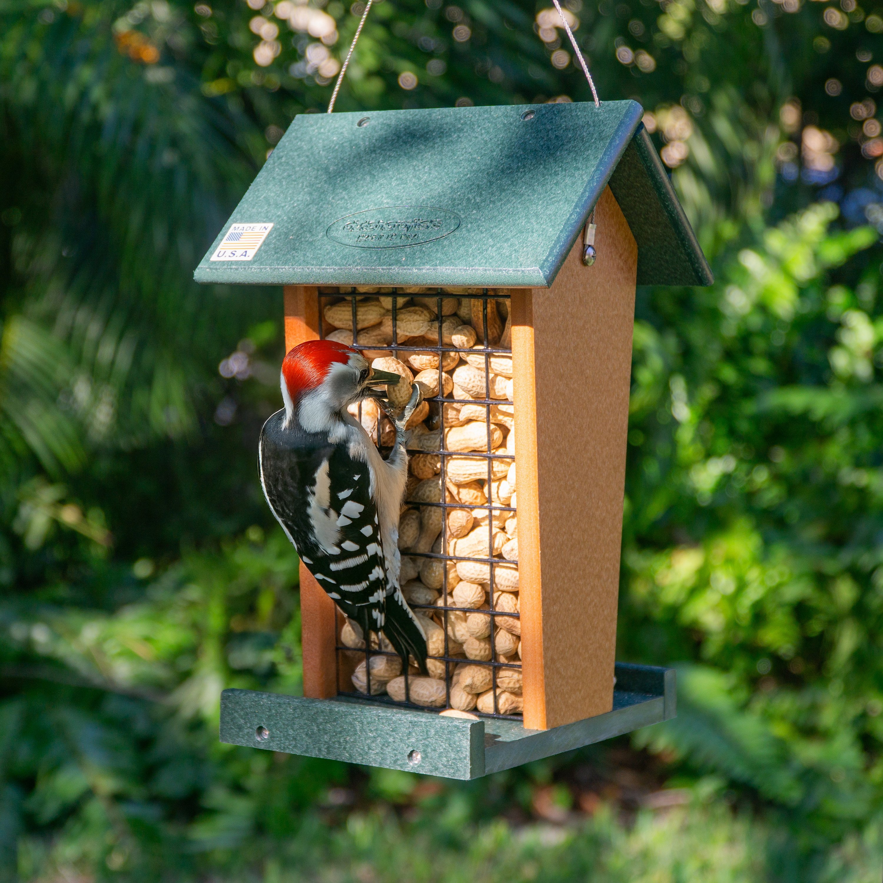 Amish Poly Hanging Whole Peanut Feeder | Blue Jay & Woodpecker